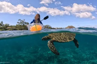 Maui Clear Kayak and Snorkel Tour