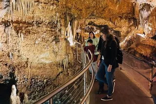 Washington D.C. Luray Caverns and Shenandoah Tour