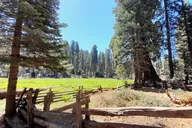Fresno Sequoia Winter Tour thumbnail 5