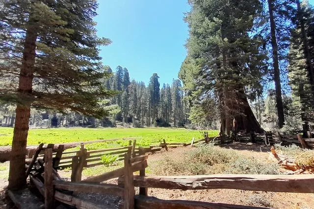 Fresno Sequoia Winter Tour - Image 5