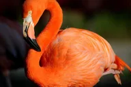 Miami Zoo Admission Ticket thumbnail 3