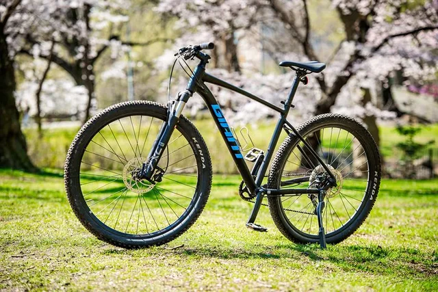 New York City Central Park Bike Rental - Image 1