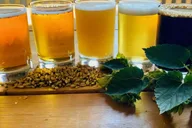 Traverse City Wine and Beverage Tour thumbnail 3