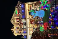 Brooklyn Christmas Tour thumbnail 3