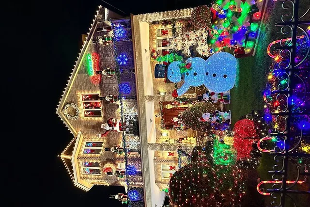 Brooklyn Christmas Tour - Image 3