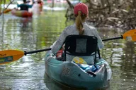 Sarasota Mangrove Tunnel Kayak Tour thumbnail 6