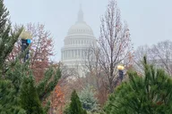 Washington DC Walking Tour of LGBTQ History thumbnail 6