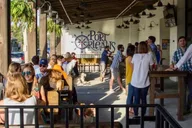 New Orleans Irish Channel Party Bike Bar Crawl 2 hr thumbnail 4