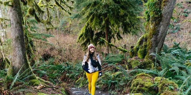 Seattle Waterfalls and Rainforest Hike 4 hr - Image 3