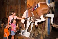 San Antonio Museum Admission and Saloon Experience thumbnail 1