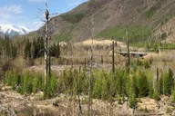 Glacier National Park Nature Walk thumbnail 5