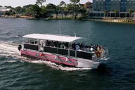 Fort Walton Beach Snorkeling and Dolphin Tour thumbnail 3