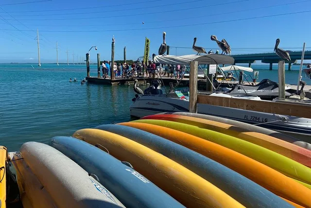 Key Largo and Islamorada Private Tour - Image 2