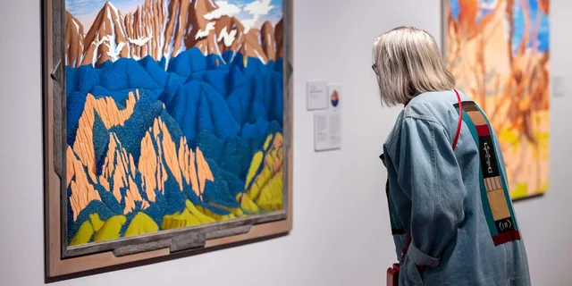 Denver Art Museum Admission Ticket - Image 5