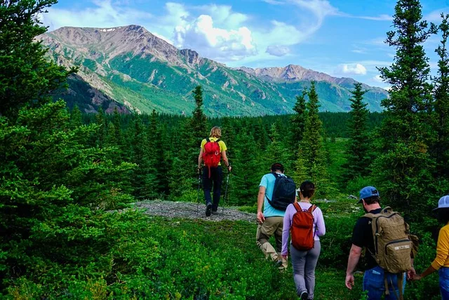 Denali Off-Trail Hiking Adventure - Image 5