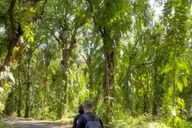 Pāhoa Tide Pool Hike and Jungle Adventure thumbnail 5