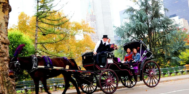 New York Central Park Horse Carriage Ride 20 Min - Image 5