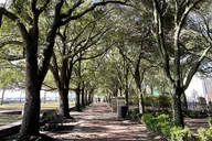 Charleston Heritage Walking Tour thumbnail 3