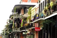 New Orleans Christmas Walking Tour thumbnail 2