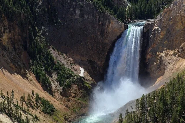 Cody Yellowstone National Park Day Tour - Image 2
