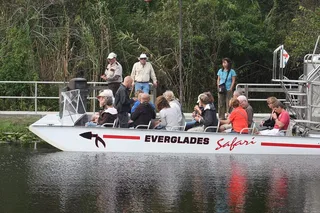 Miami Everglades Safari Day Tour