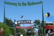 San Francisco Avenue of the Giants Redwoods Day Trip thumbnail 6