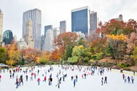 New York City Private Guided Tour 2 hr thumbnail 3