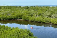Robinson Preserve Mangrove Kayak Tour thumbnail 1