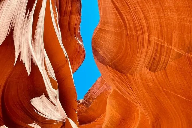 Los Angeles to Yellowstone and Vegas Tour - Image 5