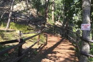 Cosmos Mystery Area Tour thumbnail 5