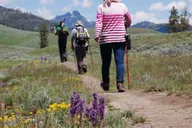 Yellowstone Lamar Valley Hiking Tour thumbnail 3