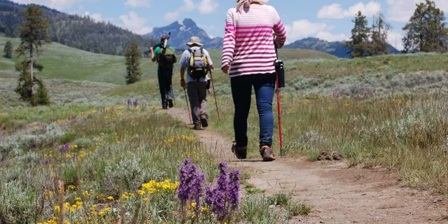 Yellowstone Lamar Valley Hiking Tour - Image 3
