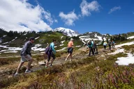 Seattle Mt Rainier Small Group Tour 2 Days thumbnail 5