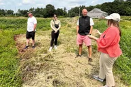 Boston Cranberry Farm Tour thumbnail 4