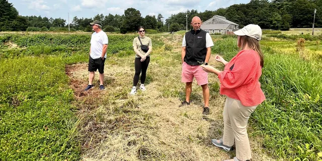 Boston Cranberry Farm Tour - Image 4