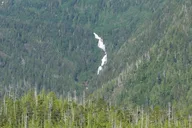 Ketchikan Zodiac Boat Adventure thumbnail 5