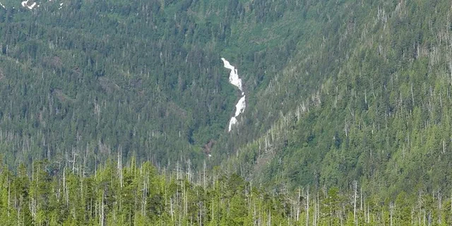 Ketchikan Zodiac Boat Adventure - Image 5