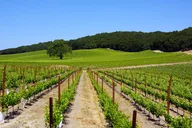Paso Robles Wine Adventure with Pickup thumbnail 5