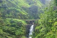 Maui Private Road Tour in Mercedes Sprinter thumbnail 5