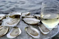 Providence Wine & Oyster Boat Cruise 75 Min thumbnail 1