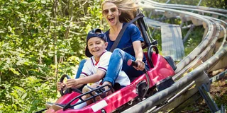 Branson Copperhead Mountain Coaster Ride