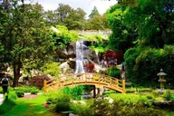 New York to Charleston 5-Day Tour thumbnail 1