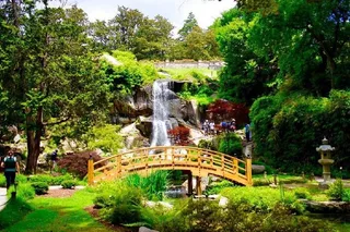 New York to Charleston 5-Day Tour
