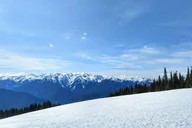 Olympic National Park Small-Group Day Tour thumbnail 4