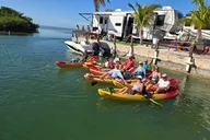 Geiger Key Mangrove Kayak or Paddleboard Adventure thumbnail 3