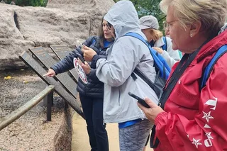 Austin Scavenger Hunt Adventure