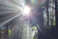 Gatlinburg Smoky Mountain Guided Hike thumbnail 3