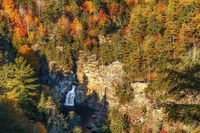 Blue Ridge Mountains Scenic Driving Tour - Image 4