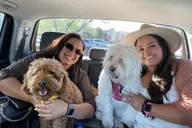 Cottonwood Wine Tasting and Dinner Tour thumbnail 4