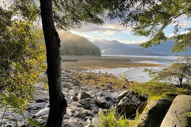 Sitka Nature Walk in Tongass National Forest - Image 6